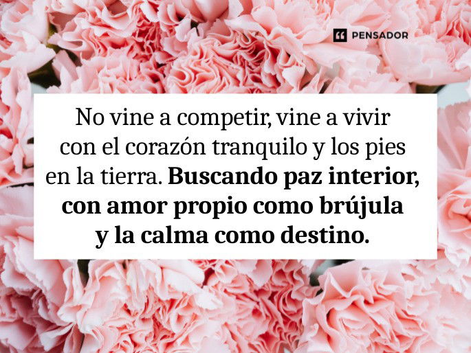 no vine a
