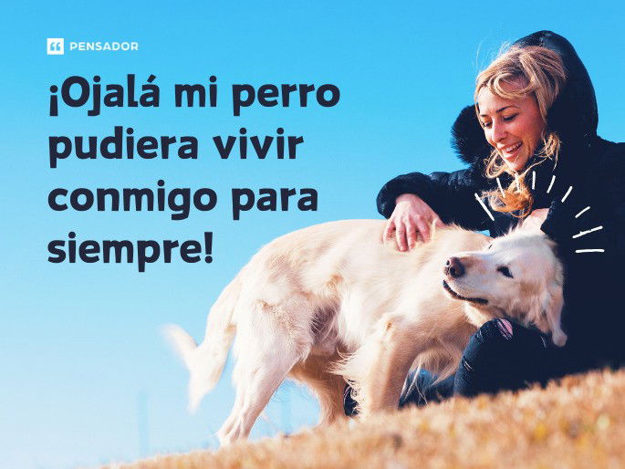 ¡Ojalá mi perro pudiera vivir conmigo para siempre!