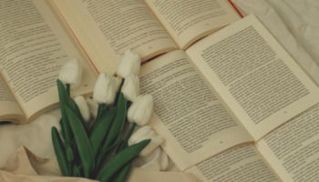 51 palabras bonitas con significado para inspirar tu día a día