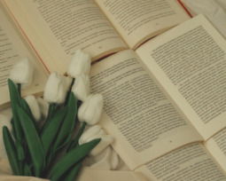 51 palabras bonitas con significado para inspirar tu día a día