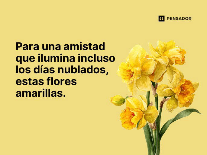 para una amistad que