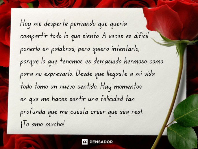 Hoy me desperté pensando que quería compartir todo lo que siento. A veces es difícil ponerlo en palabras, pero quiero intentarlo, porque lo que tenemos es demasiado hermoso como para no expresarlo.  Desde que llegaste a mi vida todo tomó un nuevo sentido. Hay momentos en que me haces sentir una felicidad tan profunda que me cuesta creer que sea real. Contigo los días son más brillantes y parece que los problemas fueran más pequeños. Estar contigo en este momento de mi vida, es un regalo que valoro más de lo que podrías imaginar.  Amo como me haces sentir, tu forma de escucharme, de entenderme y de hacerme sentir que, pase lo que pase, todo estará bien si estamos el uno junto al otro. Quiero que sepas que valoro cada segundo que pasamos juntos, y que agradezco a la vida por haberte puesto en mi camino.  ¡Te amo mucho!