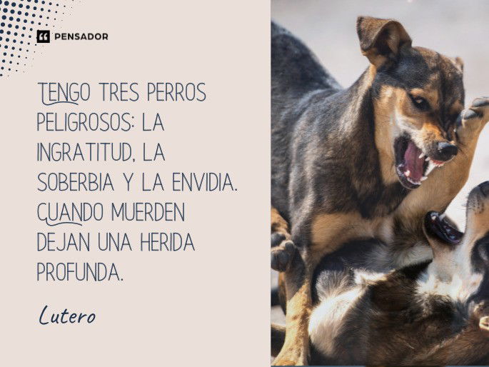 Tengo tres perros peligrosos: la ingratitud, la soberbia y la envidia. Cuando muerden dejan una herida profunda.  Lutero