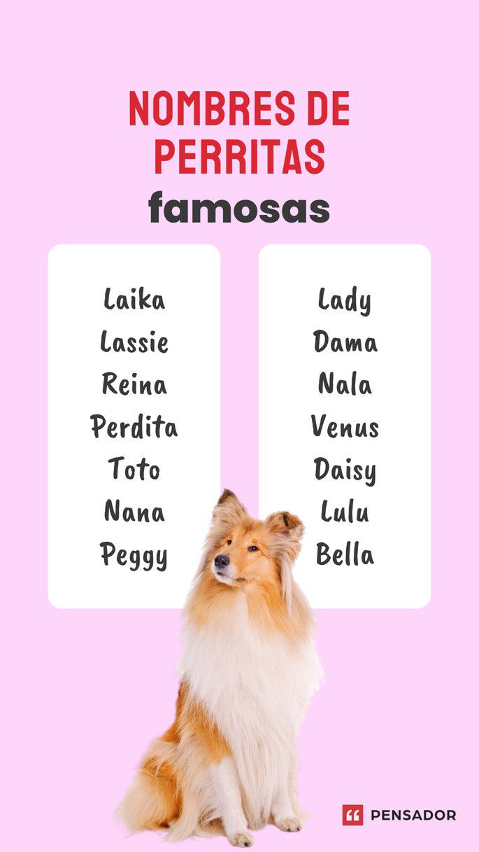 perritas famosas