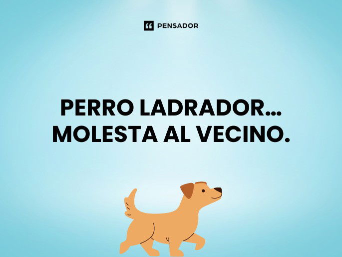 perro ladrador molesta