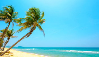 11 poemas de verano que celebran la belleza de la estación