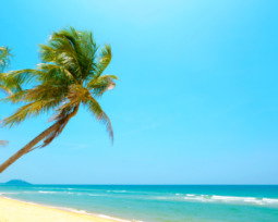 11 poemas de verano que celebran la belleza de la estación