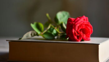 14 poemas de amor para mi novia que la enamorarán aún más