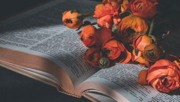 16 poemas de la vida para entender el amor, el dolor y la existencia