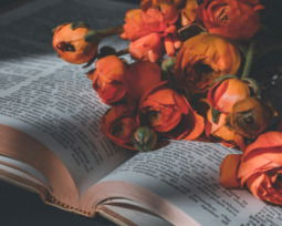 16 poemas de la vida para entender el amor, el dolor y la existencia