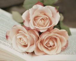 32 poemas famosos e imprescindibles de la literatura en español