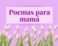24 poemas para el Día de la Madre llenos de amor y gratitud