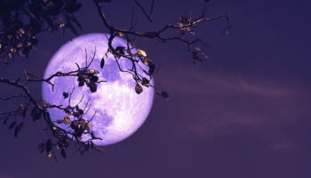 61 mensajes preciosos de buenas noches originales