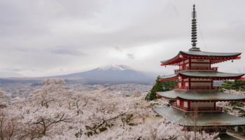 Frases y proverbios japoneses para vivir con el coraje de un samurái