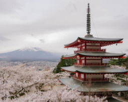 Frases y proverbios japoneses para vivir con el coraje de un samurái