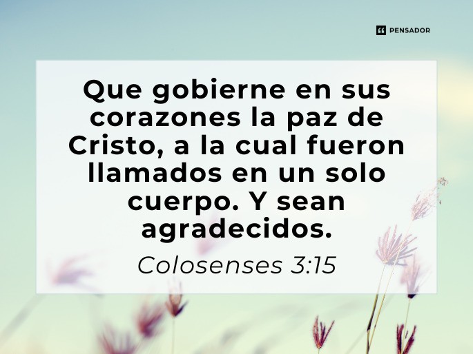 que gobierne