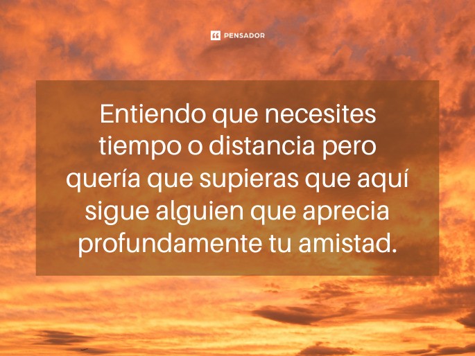 que necesites