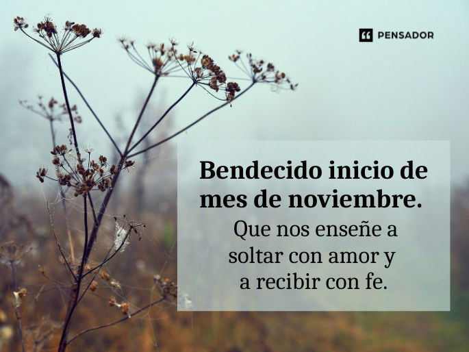 que nos enseñe a
