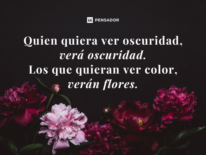 Quien quiera ver oscuridad, verá oscuridad. Los que quieran ver color, verán flores.