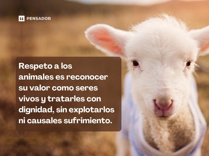 respeto a los animales