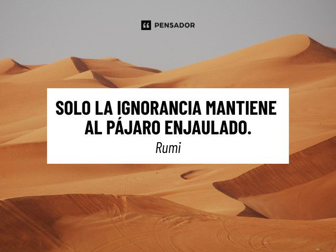 solo la ignorancia