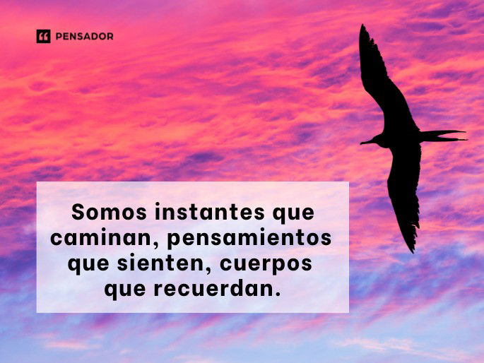 somos instantes que