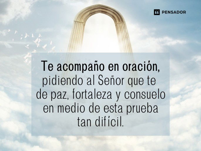 te acompaño en cada