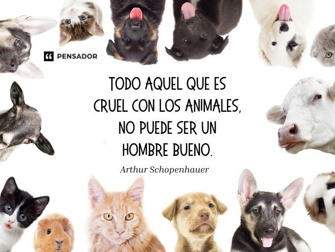 todo aquel que es