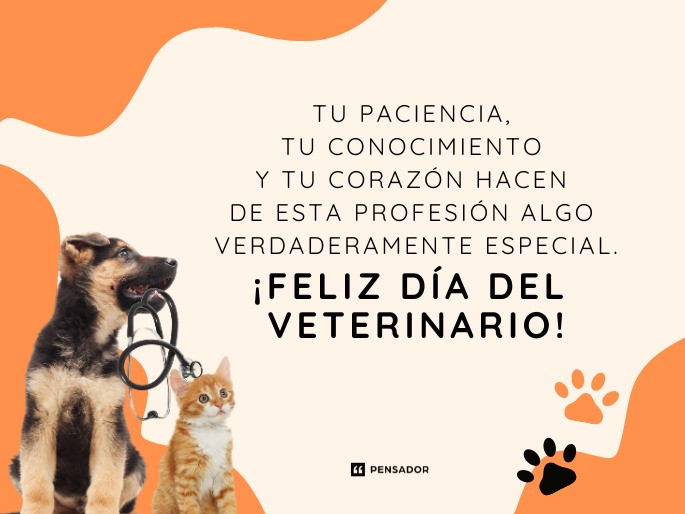 tu paciencia