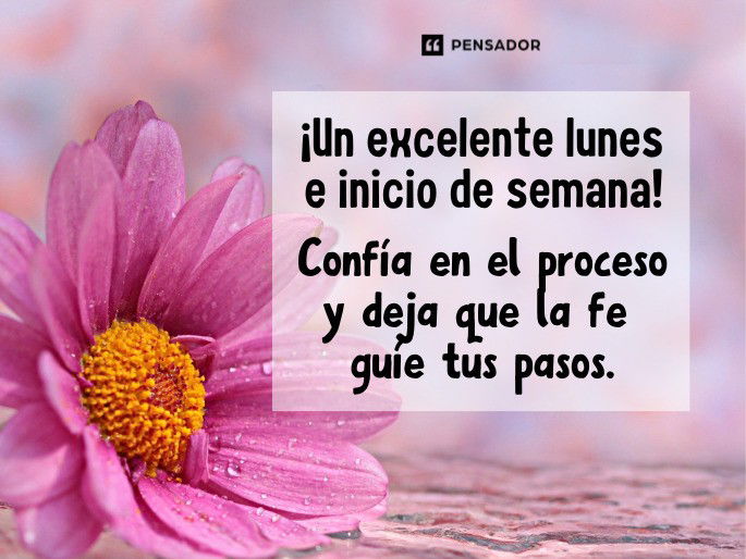 un excelente lunes