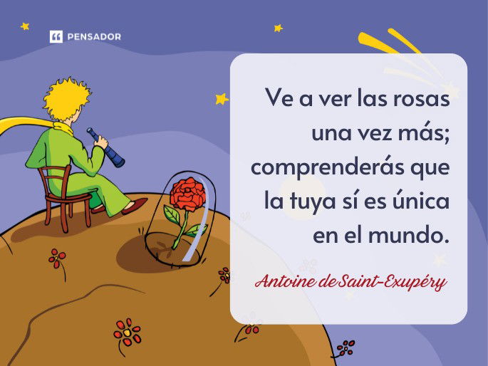 Ve a ver las rosas una vez más; comprenderás que la tuya sí es única en el mundo. Antoine de Saint-Exupéry