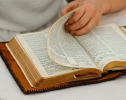 43 versículos de perdón que inspiran reconciliación y esperanza