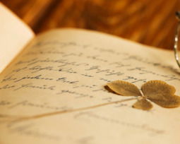 Versos cortos: 23 ejemplos de poesía breve y poderosa