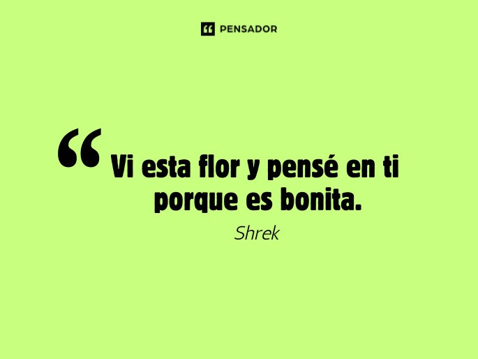 vi esta flor