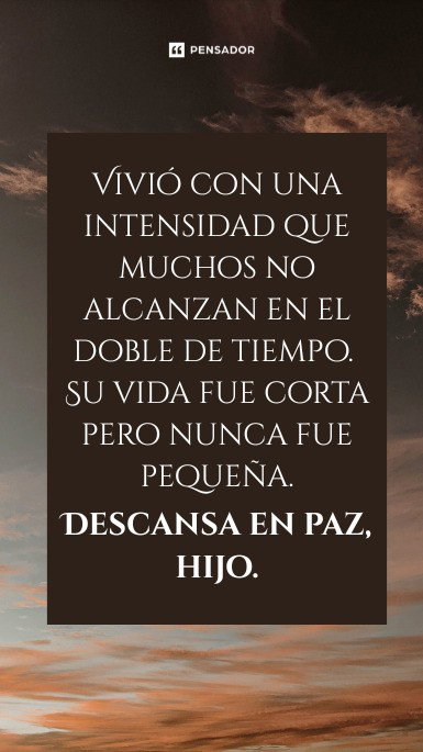 vivio con