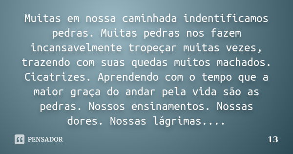 Muitas em nossa caminhada indentificamos pedras. Muitas pedras nos fazem incansavelmente tropeçar muitas vezes, trazendo com suas quedas muitos machados. Cicatr... Frase de 13.