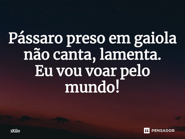 ⁠Pássaro preso em gaiola não canta, lamenta. Eu vou voar pelo mundo!... Frase de 1Kilo.