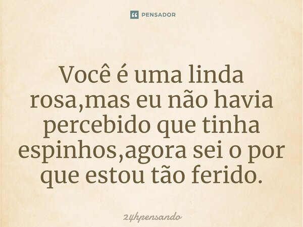 ⁠Você é uma linda rosa,mas eu não havia percebido que tinha espinhos,agora sei o por que estou tão ferido.... Frase de 24hpensando.