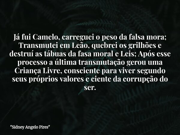 Já fui Camelo, carreguei o peso da falsa mora; Transmutei em Leão, quebrei os grilhões e destruí as tábuas da fasa moral e Leis; Após esse processo a última tra... Frase de 34;Sidney Angelo Pires34;.