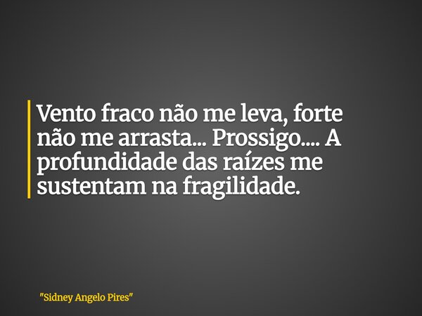 Vento fraco não me leva, forte não me arrasta... Prossigo.... A profundidade das raízes me sustentam na fragilidade.... Frase de 34;Sidney Angelo Pires34;.