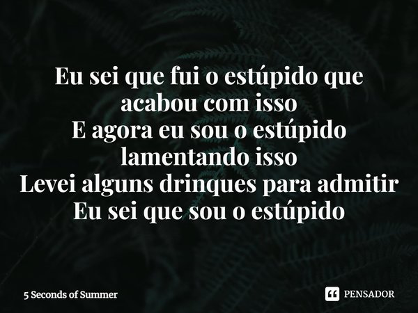 ⁠Eu sei que fui o estúpido que acabou com isso E agora eu sou o estúpido lamentando isso Levei alguns drinques para admitir Eu sei que sou o estúpido... Frase de 5 Seconds of Summer.