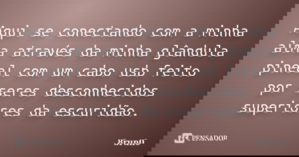 Aqui se conectando com a minha alma através da minha glândula pineal com um cabo usb feito por seres desconhecidos superiores da escuridão.... Frase de 8run0.
