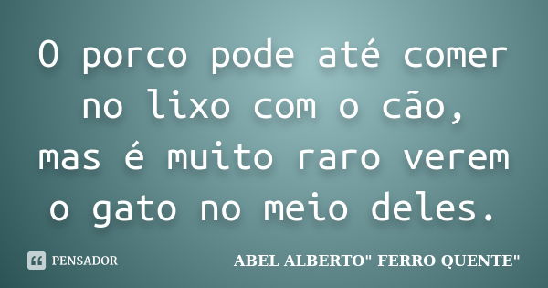 O porco pode até comer no lixo com o cão, mas é muito raro verem o gato no meio deles.... Frase de ABEL ALBERTO