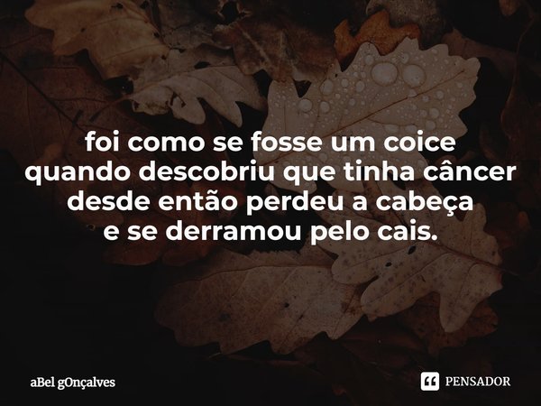 foi como se fosse um coice
quando descobriu que tinha câncer
desde então perdeu a cabeça
e se derramou pelo cais.... Frase de aBel gOnçalves.