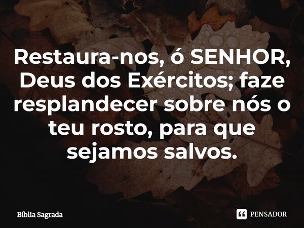 Restaura-nos, ó SENHOR, Deus dos Exércitos; faze resplandecer sobre nós o teu rosto, para que sejamos salvos.... Frase de Bíblia Sagrada.