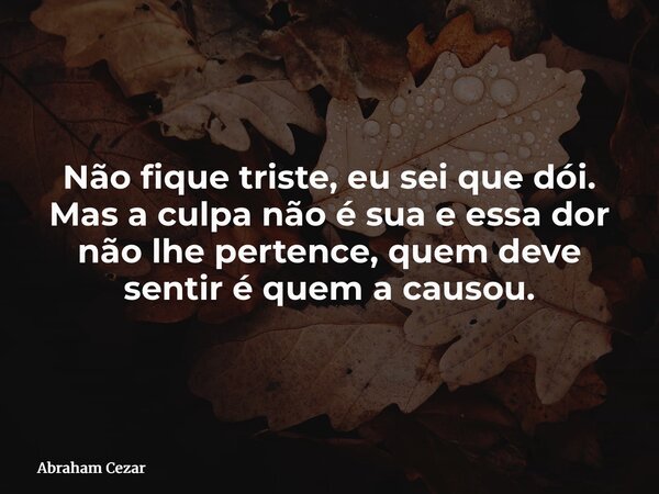 Não fique triste, eu sei que dói. Mas a culpa não é sua e essa dor não lhe pertence, quem deve sentir é quem a causou.... Frase de Abraham Cezar.