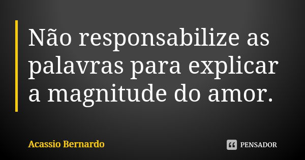 Não responsabilize as palavras para explicar a magnitude do amor.... Frase de Acássio Bernardo.