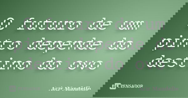 O futuro de um pinto depende do destino do ovo... Frase de Acir Mandello.