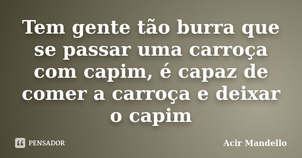 Tem gente tão burra que se passar uma carroça com capim, é capaz de comer a carroça e deixar o capim... Frase de Acir Mandello.