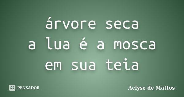 árvore seca
a lua é a mosca
em sua teia... Frase de Aclyse de Mattos.